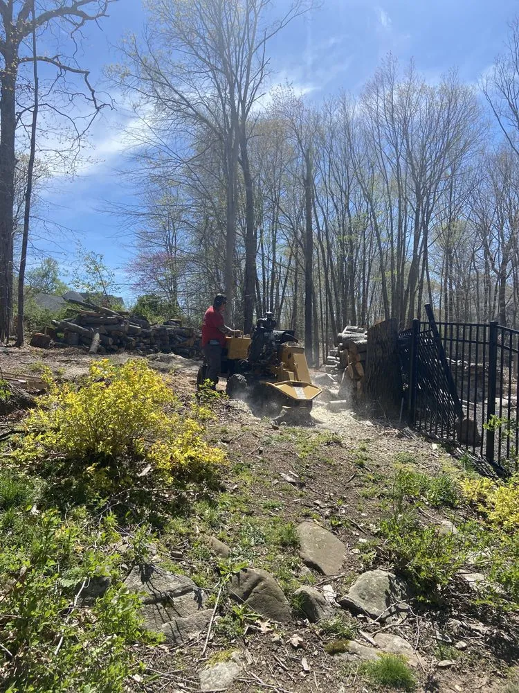 Custom landscape design in New Haven, CT by Cris Landscaping