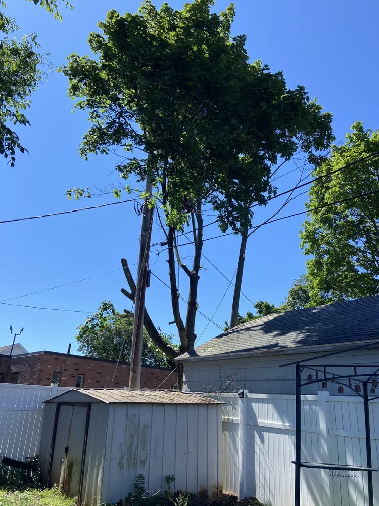 Trusted lawn mowing service for homes in New Haven, CT by Cris Landscaping