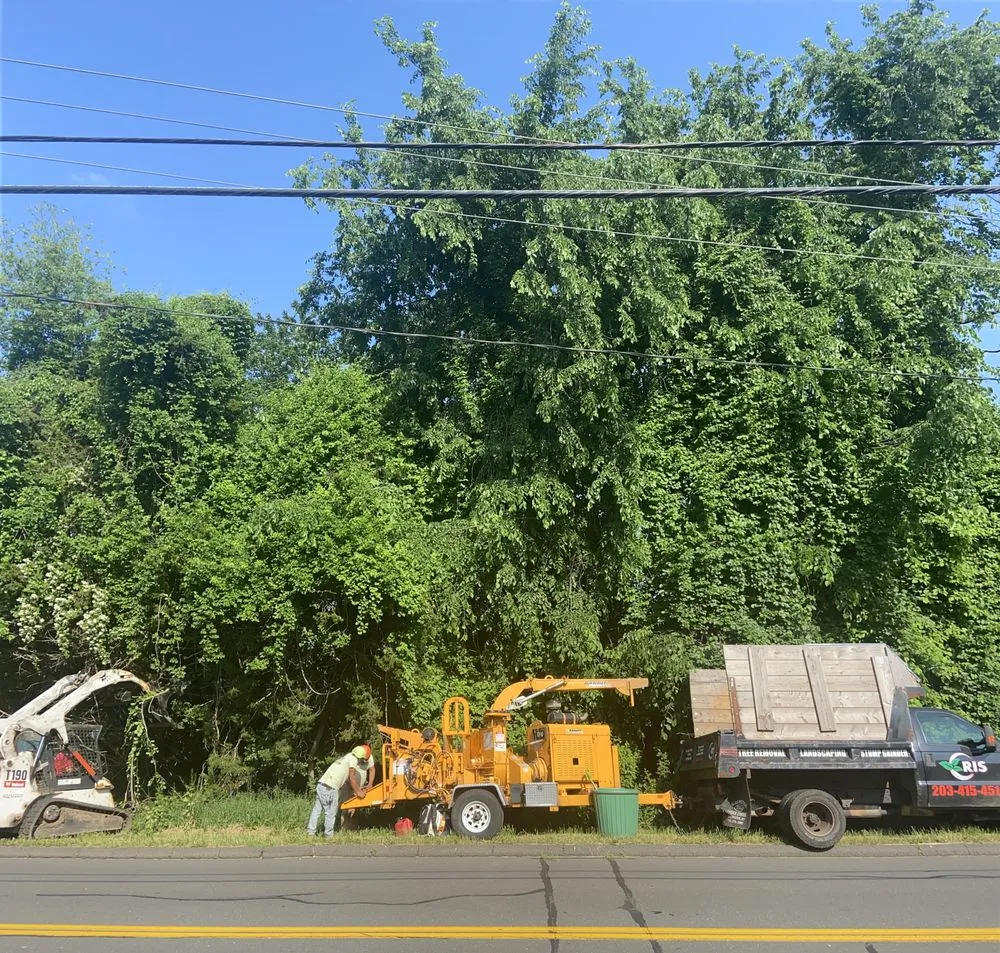 Professional landscaping services in New Haven, CT - Cris Landscaping