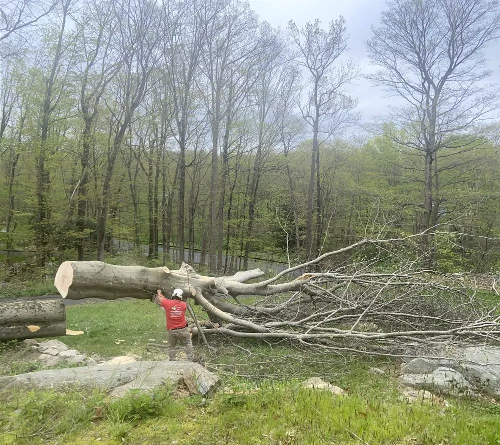 Trusted garden landscaping in New Haven, CT by Cris Landscaping