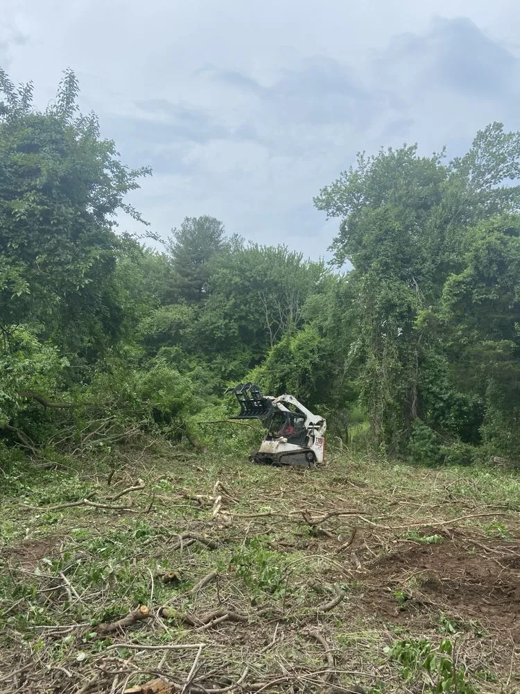 Local landscape design for homes across New Haven, CT - Cris Landscaping