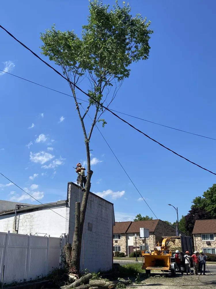 Affordable garden landscaping in New Haven, CT - Cris Landscaping