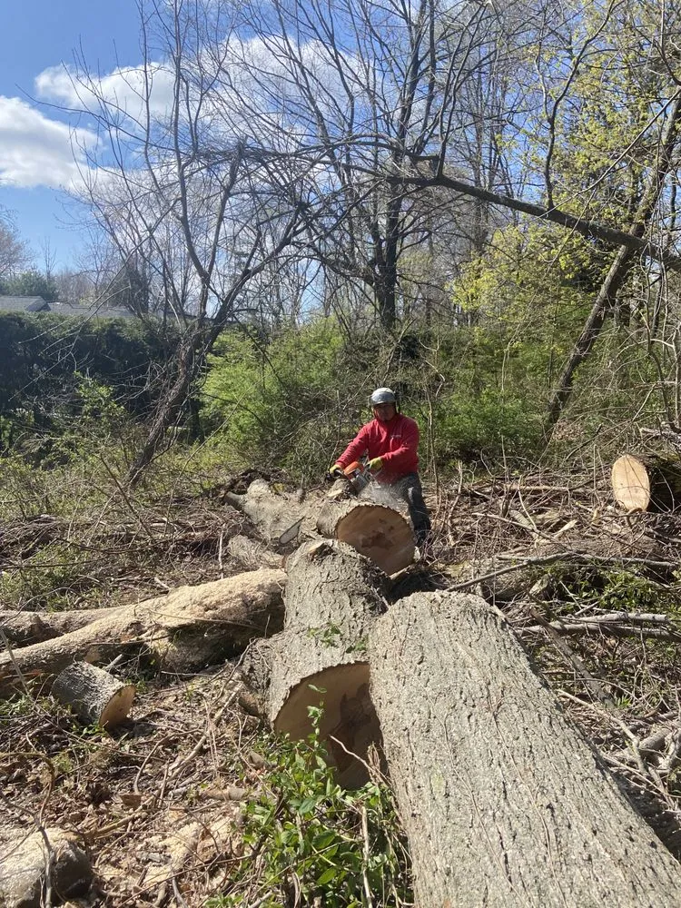 Custom landscape design experts serving New Haven, CT - Cris Landscaping