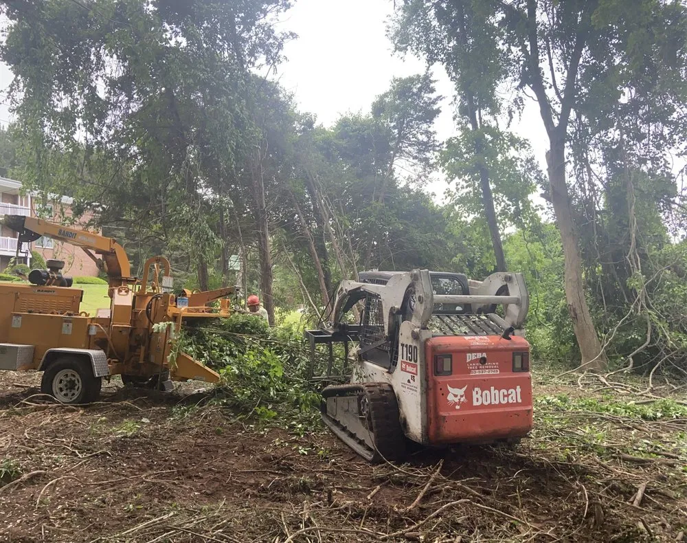 Professional garden landscaping for residential properties in New Haven, CT by Cris Landscaping