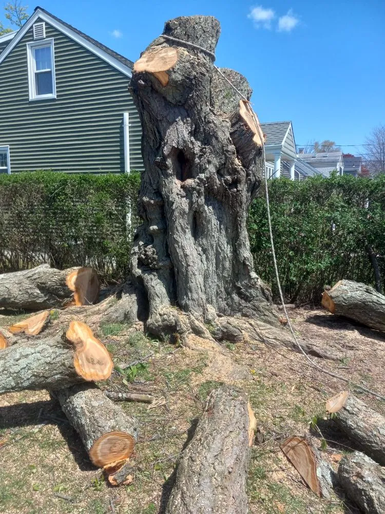 Local landscape installation in New Haven, CT by Cris Landscaping