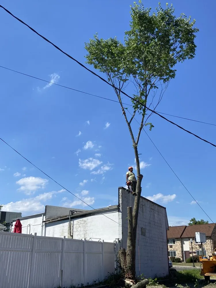 Custom landscape design in New Haven, CT - Cris Landscaping
