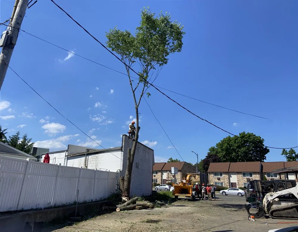 Expert residential landscaping for beautiful yards in New Haven, CT by Cris Landscaping