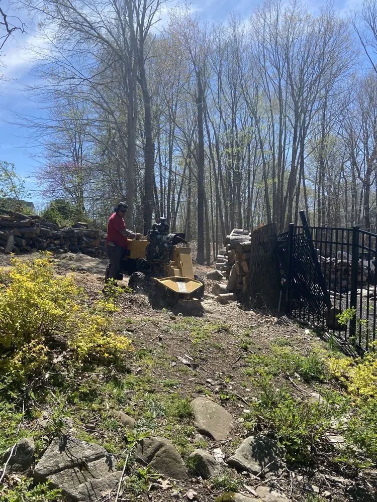 Top-rated yard maintenance in New Haven, CT by Cris Landscaping