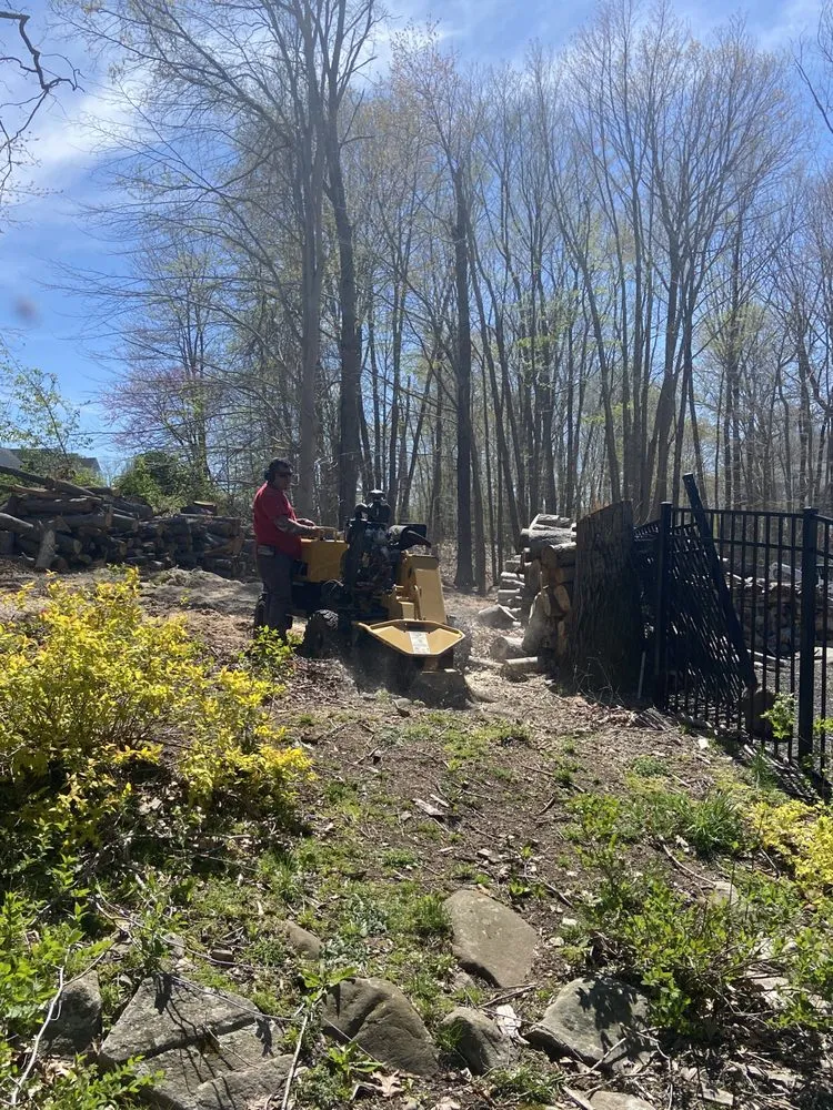 Trusted yard cleanup service for outdoor upgrades across New Haven, CT - Cris Landscaping