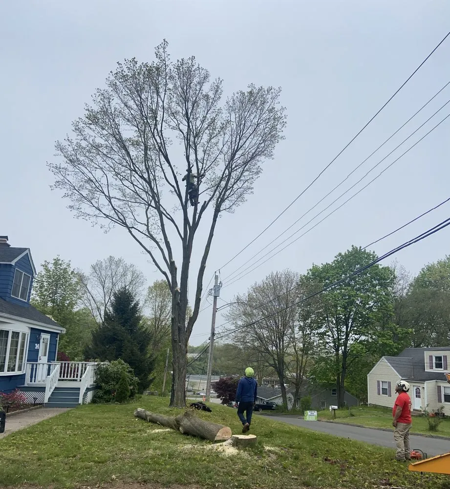 Affordable outdoor landscaping for residential properties across New Haven, CT - Cris Landscaping