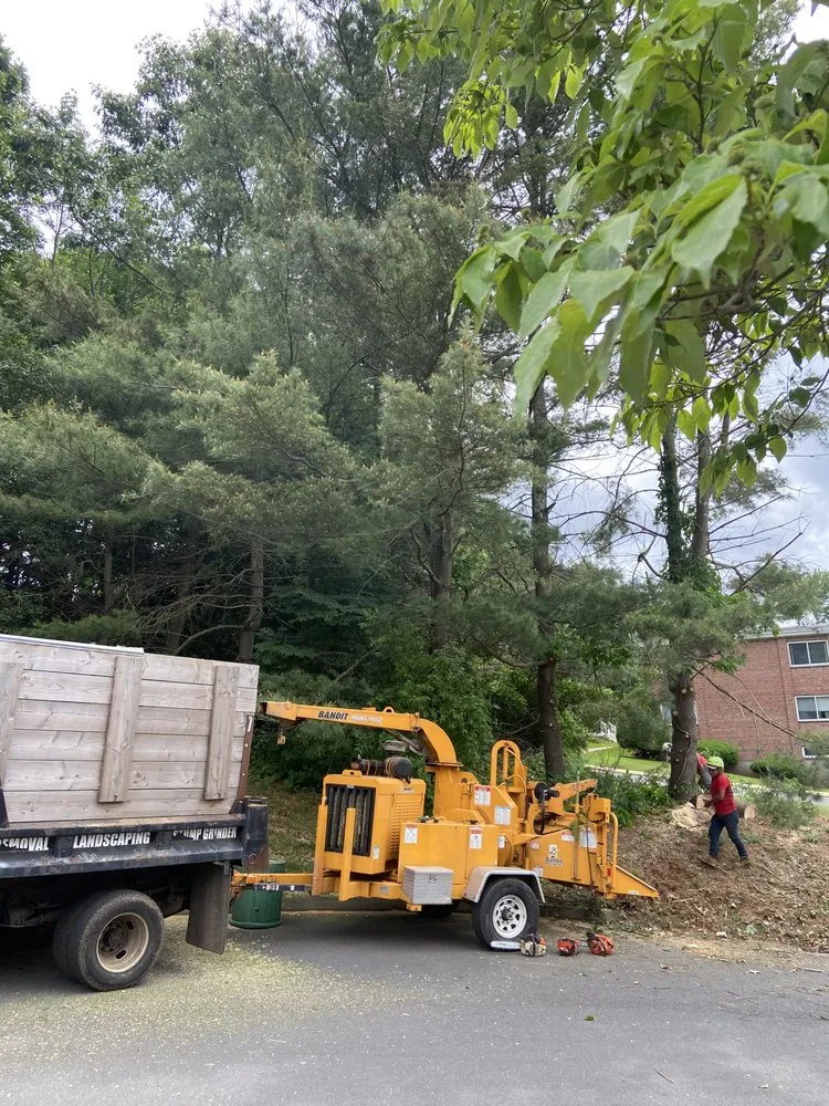 Expert landscape design in New Haven, CT - Cris Landscaping