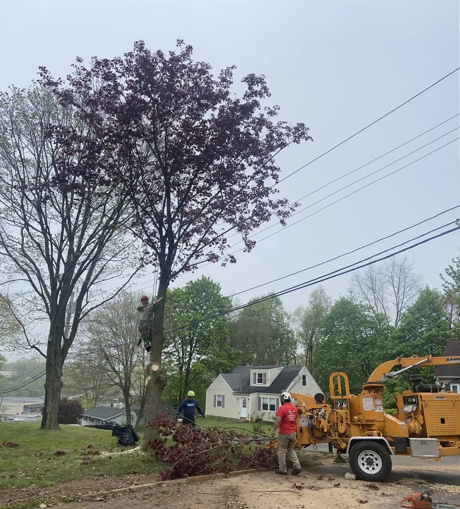 Professional landscape installation for beautiful yards across New Haven, CT - Cris Landscaping