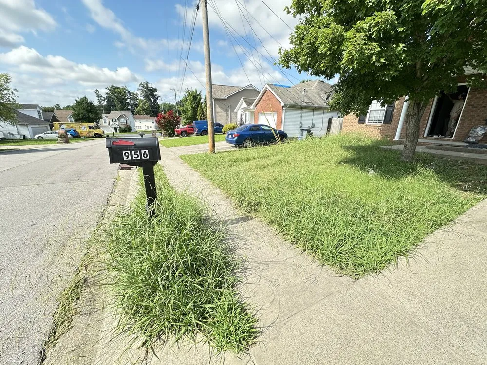 Professional landscape installation for homes in Christiana, TN by Cris Lawn Care