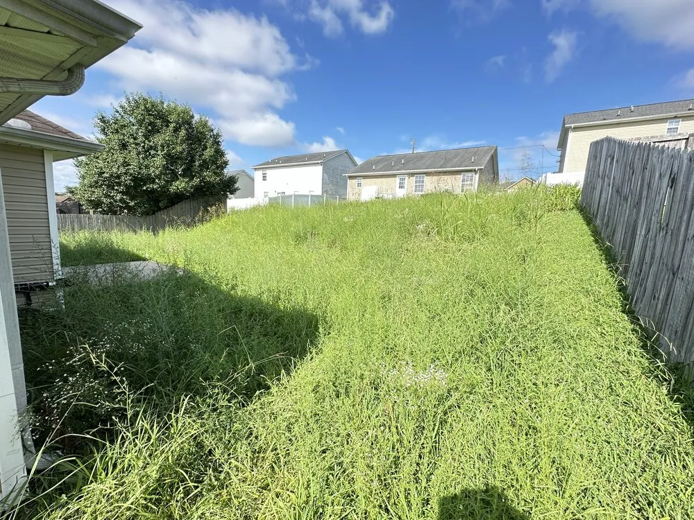 Custom yard cleanup service in Christiana, TN - Cris Lawn Care