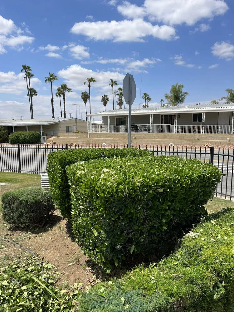 Custom landscape design in Hemet, CA by Cris Lawn Maintenance