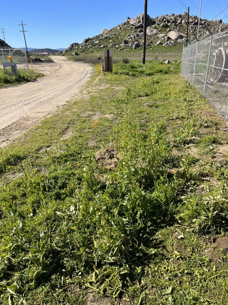 Reliable yard maintenance experts serving Hemet, CA - Cris Lawn Maintenance