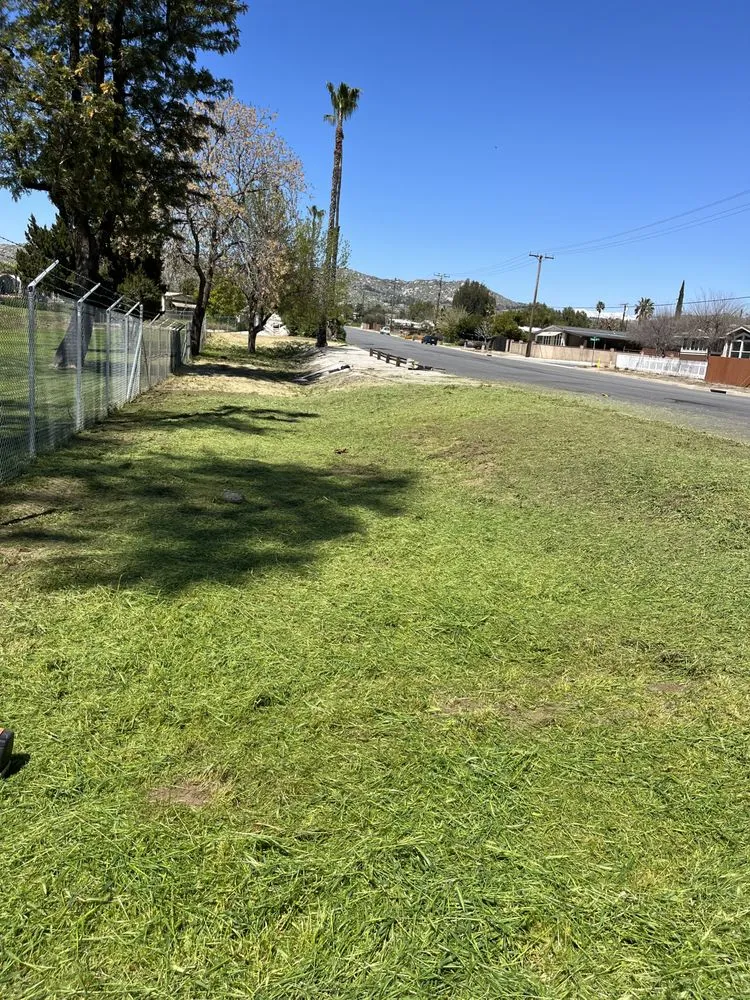 Reliable landscape installation near you across Hemet, CA - Cris Lawn Maintenance