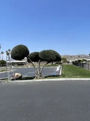 Cris Lawn Maintenance Logo