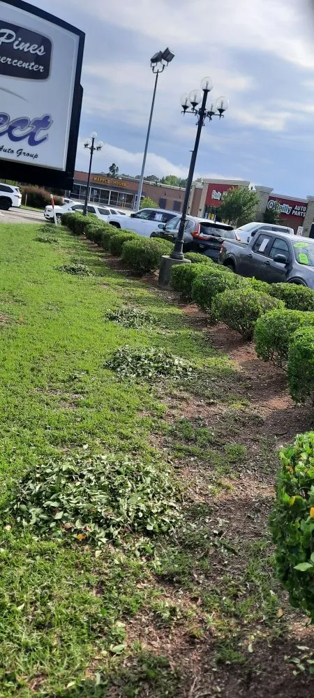 Top-rated landscaping services experts serving Montgomery, AL - Crisco Does