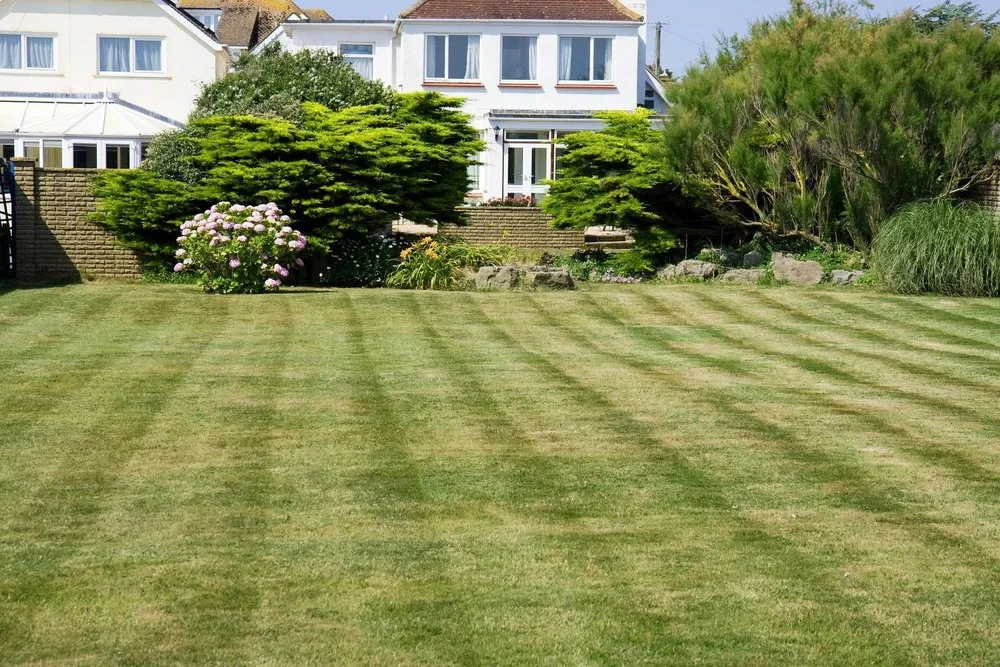 Trusted lawn mowing service in Lacy-Lakeview, TX - Crisp Cuts Lawn Care