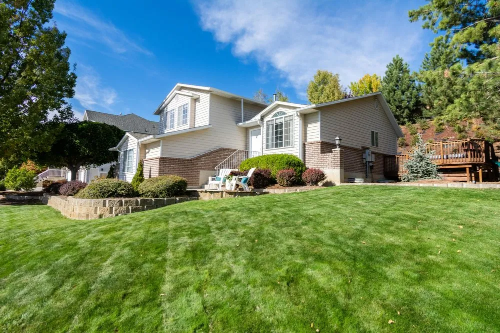 Local landscape design in Lacy-Lakeview, TX - Crisp Cuts Lawn Care