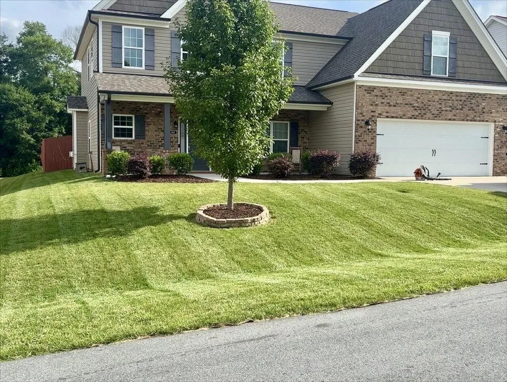 Custom yard cleanup service in East Bend, NC by Crisp Outdoor Services