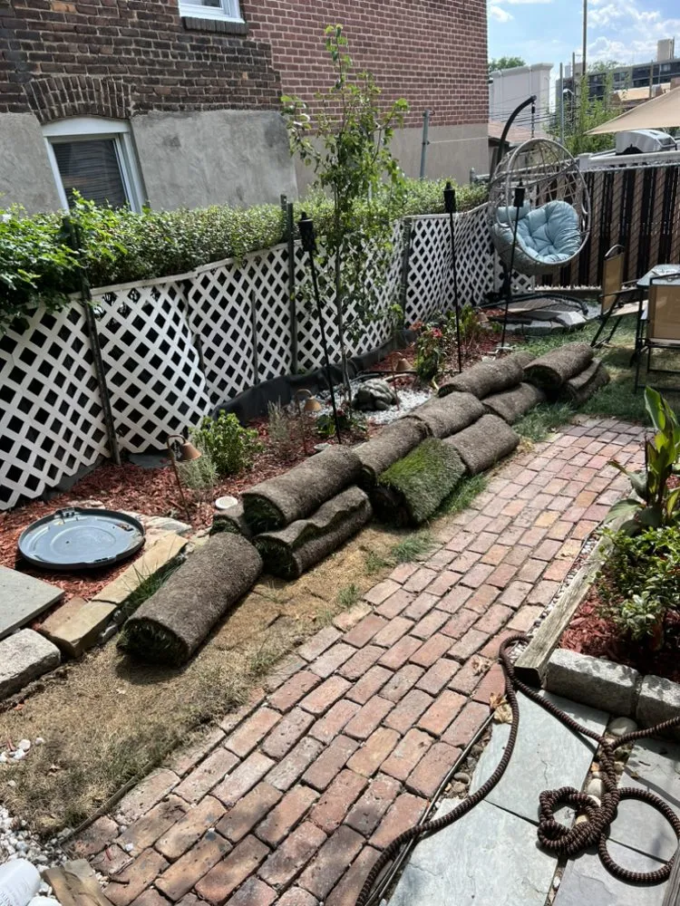 Professional yard cleanup service in Cliffside Park, NJ - Crispy Clean Contracting