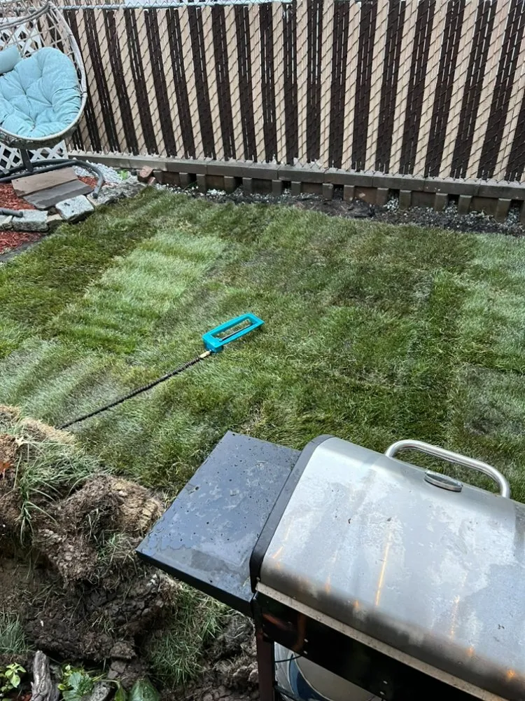 Top-rated yard maintenance for beautiful yards in Cliffside Park, NJ by Crispy Clean Contracting