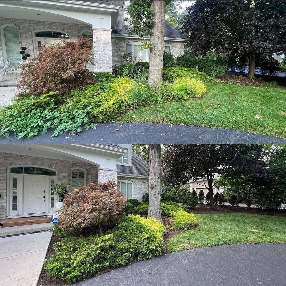 Local yard cleanup service experts serving Hope Mills, NC - CrispyCutz