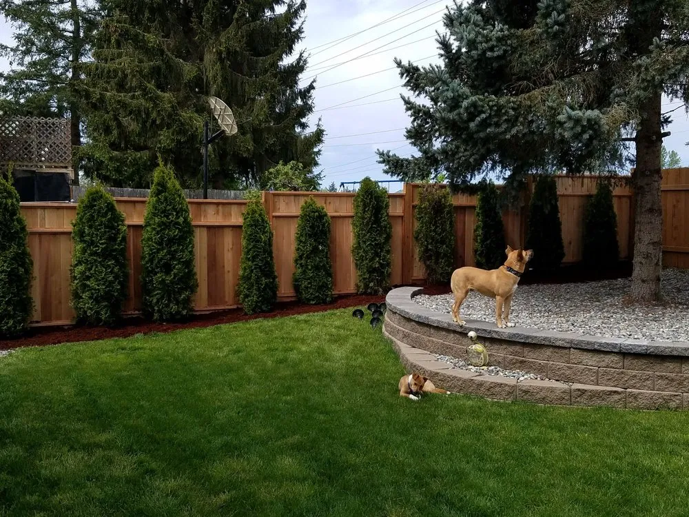 Reliable yard maintenance for beautiful yards across Snohomish, WA - Crist Landscaping
