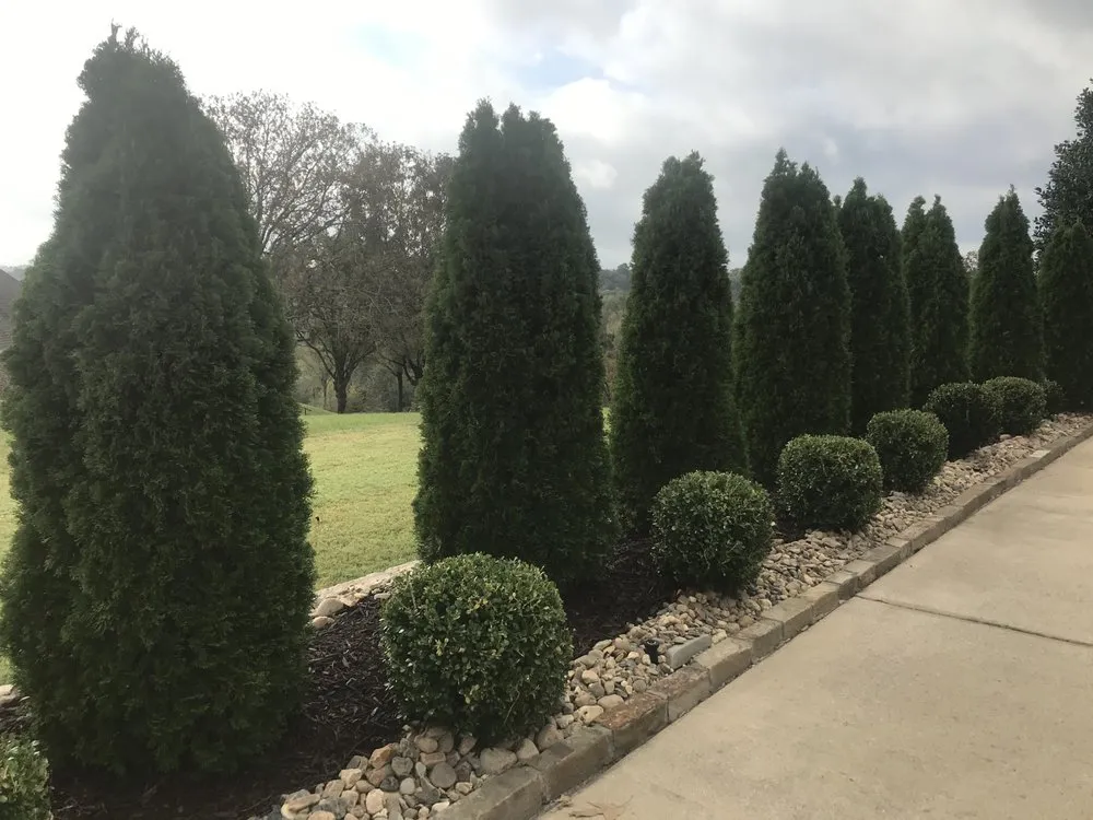 Top-rated landscaping services in Hot Springs, AR by Cristal Jill landscape