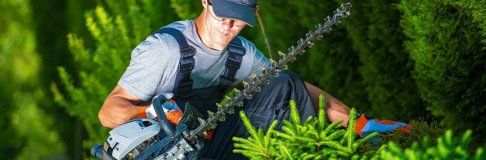 Reliable lawn care service in Bolingbrook, IL - Cristian Landscaping