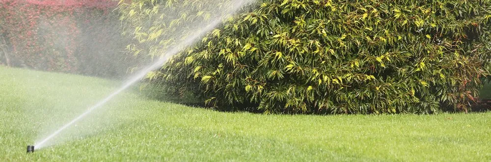 Affordable lawn mowing service in Bolingbrook, IL by Cristian Landscaping