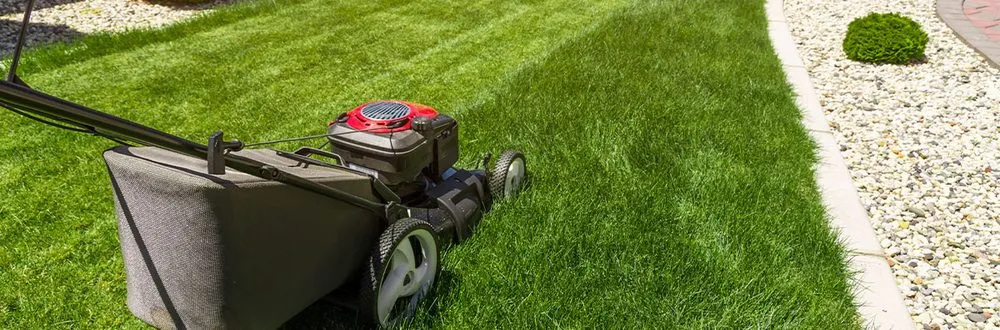 Expert landscape design for year-round maintenance in Bolingbrook, IL by Cristian Landscaping