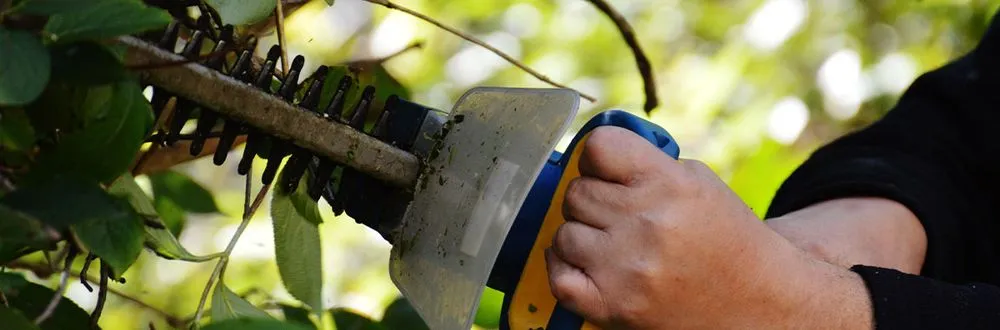 Affordable landscaping services in Bolingbrook, IL by Cristian Landscaping