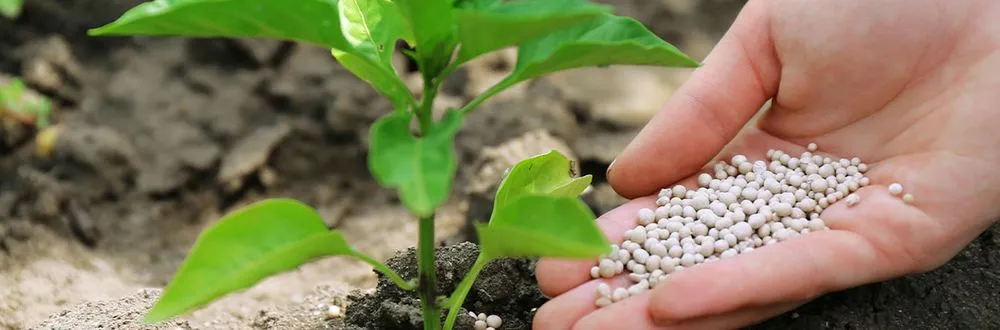 Top-rated lawn care service in Bolingbrook, IL by Cristian Landscaping