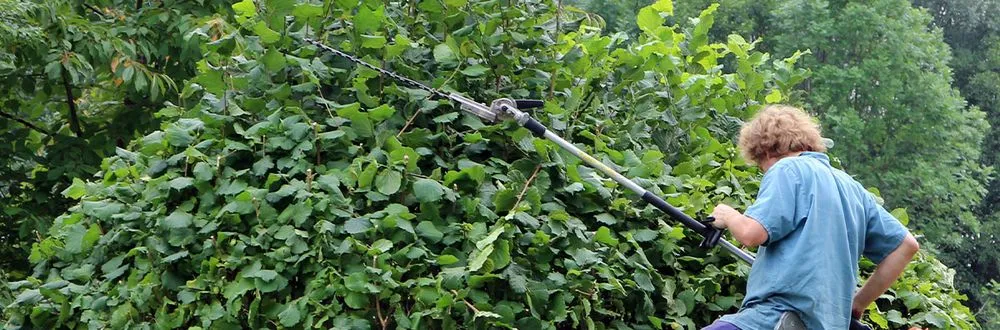 Expert landscape design with custom design in Bolingbrook, IL by Cristian Landscaping