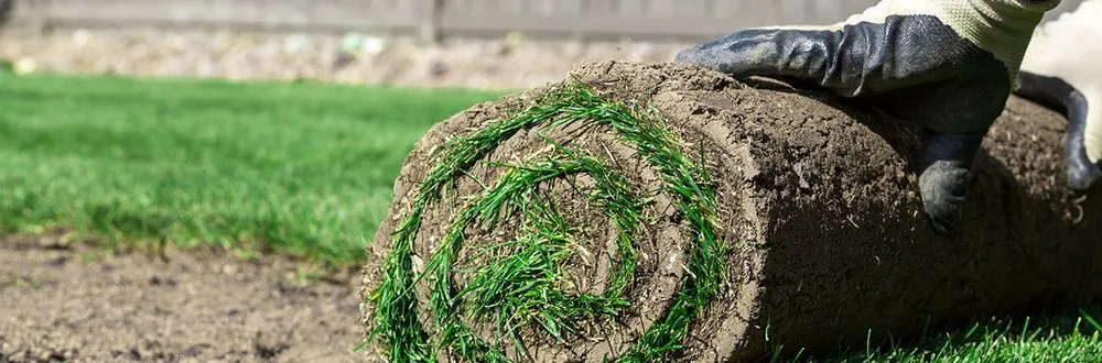 Custom yard maintenance for beautiful yards across Bolingbrook, IL - Cristian Landscaping