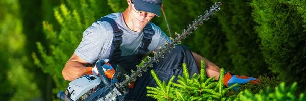 Cristian Landscaping Logo