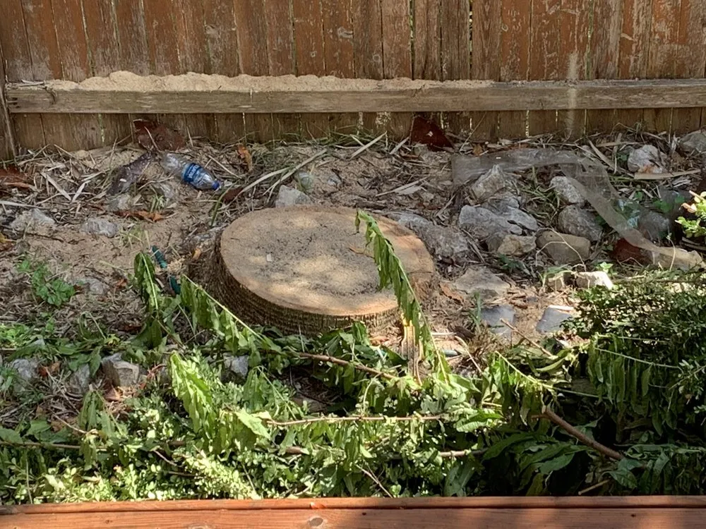 Top-rated residential landscaping experts serving San Antonio, TX - Cristian Luna Tree Service