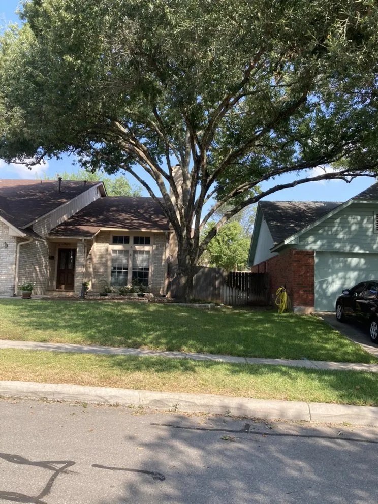 Affordable outdoor landscaping in San Antonio, TX by Cristian Luna Tree Service