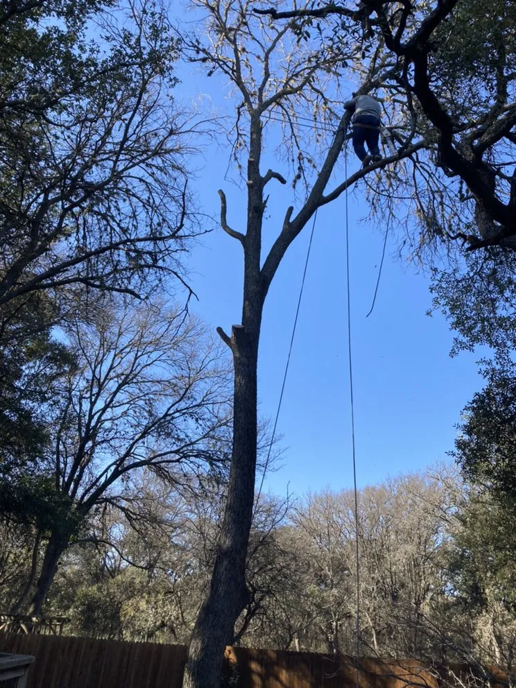 Custom outdoor landscaping experts serving San Antonio, TX - Cristian Luna Tree Service