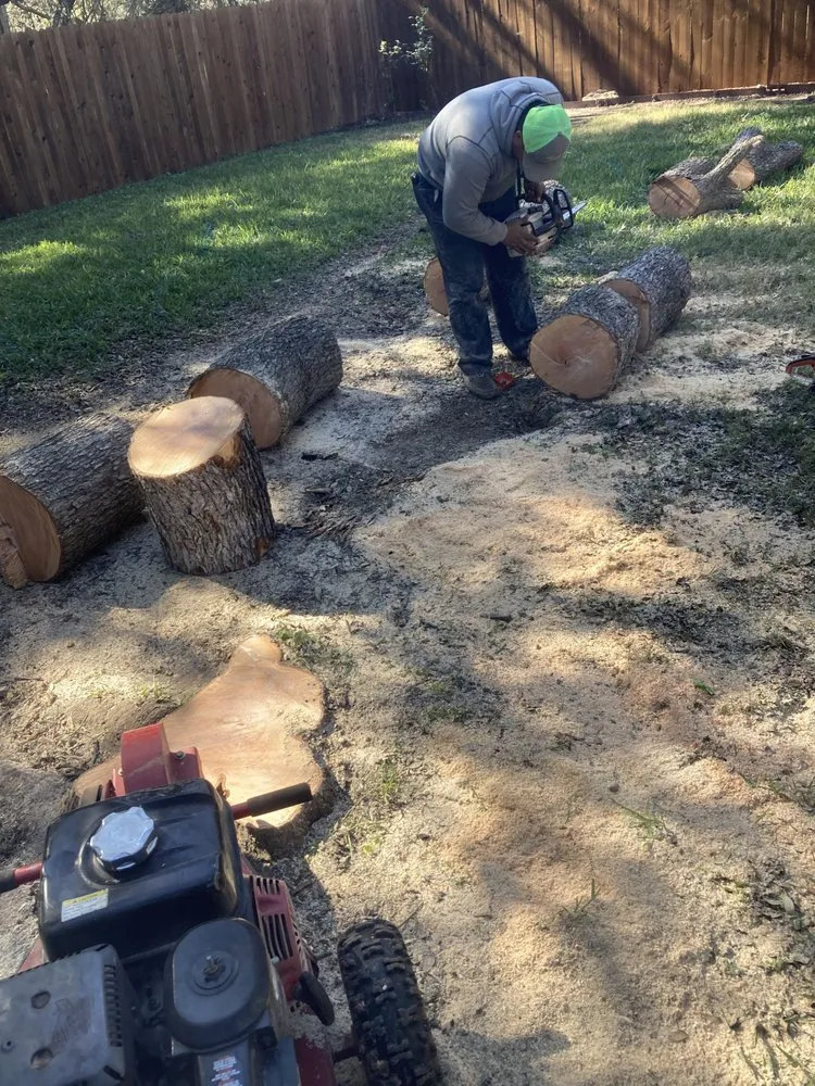 Reliable landscape installation for beautiful yards across San Antonio, TX - Cristian Luna Tree Service