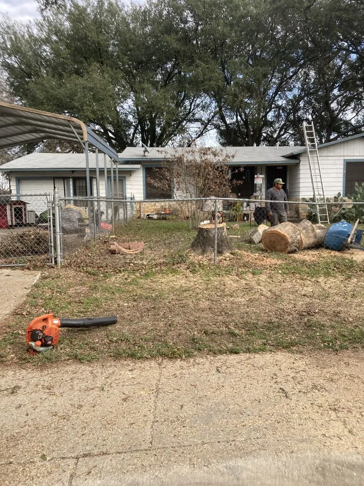 Top-rated landscape installation near you in San Antonio, TX by Cristian Luna Tree Service