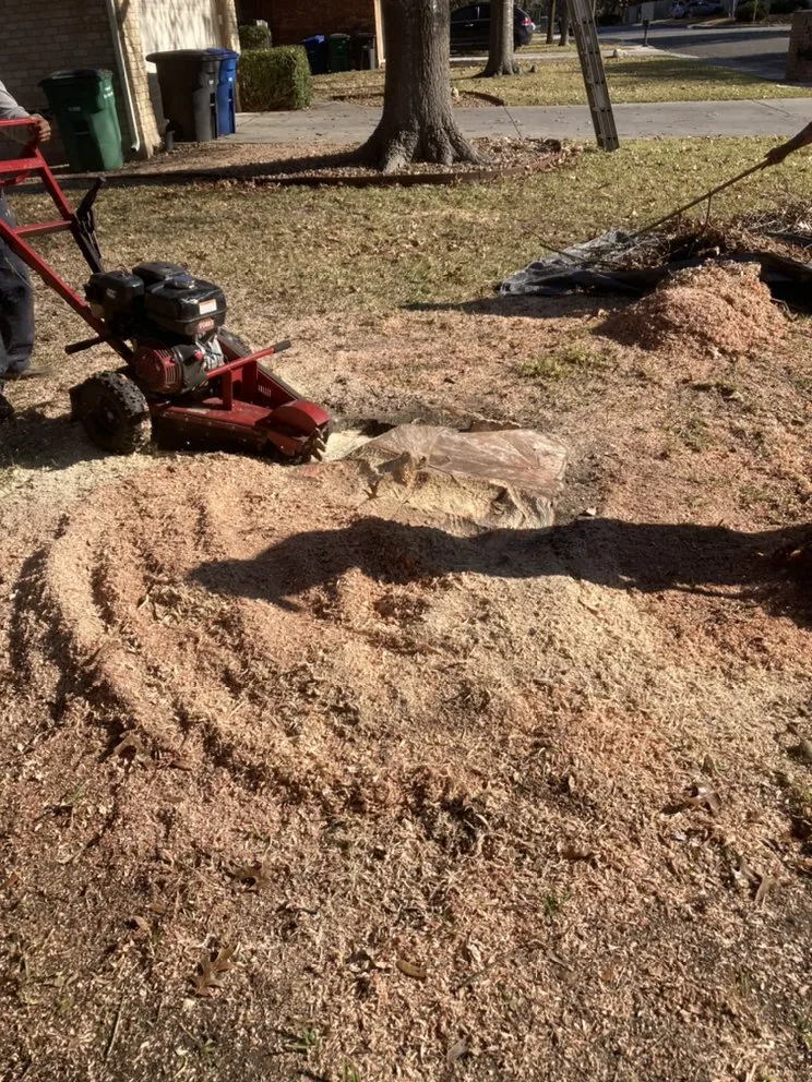 Top-rated landscape installation in San Antonio, TX by Cristian Luna Tree Service