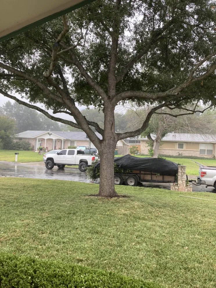 Top-rated landscape installation in San Antonio, TX by Cristian Luna Tree Service