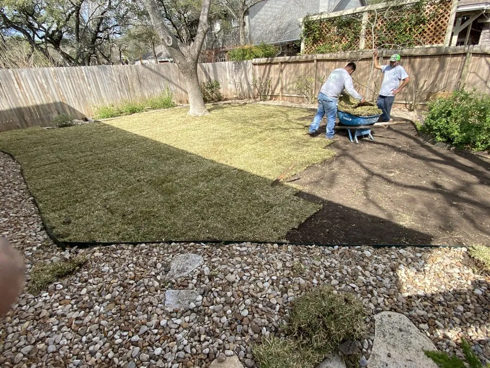 Expert yard maintenance in San Antonio, TX - Cristian Luna Tree Service