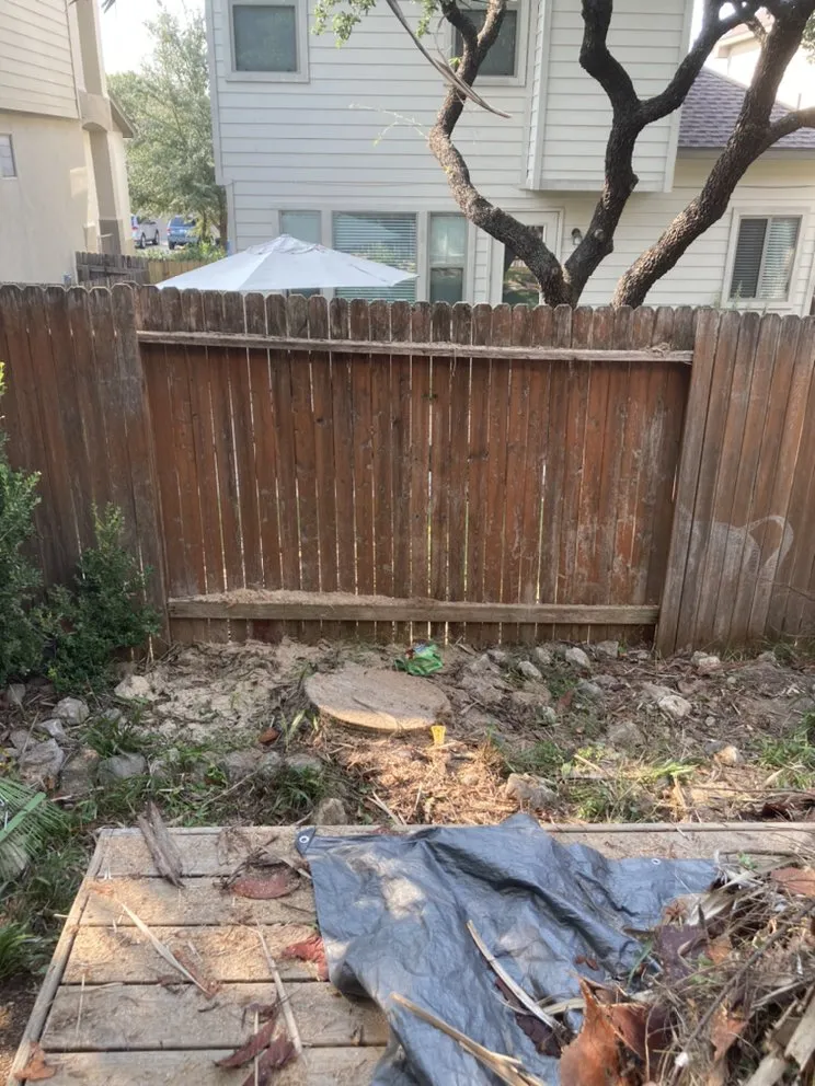 Professional yard maintenance with custom design across San Antonio, TX - Cristian Luna Tree Service