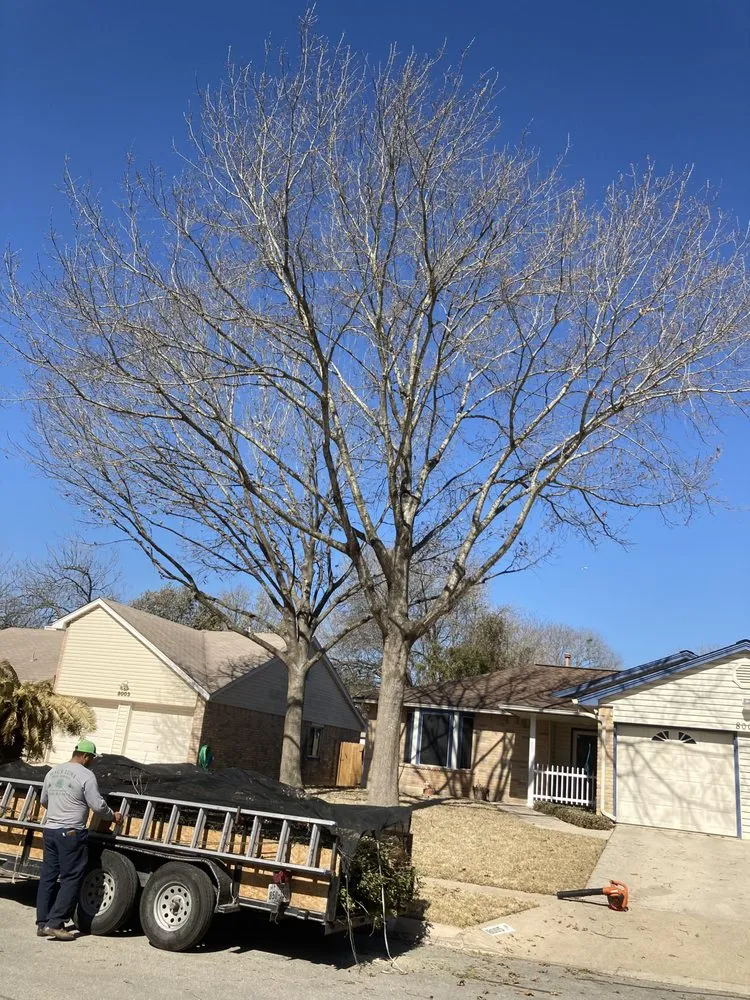 Custom garden landscaping for beautiful yards across San Antonio, TX - Cristian Luna Tree Service