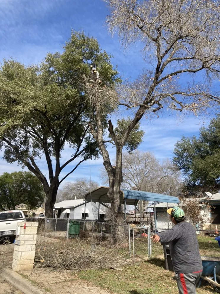 Affordable yard maintenance in San Antonio, TX - Cristian Luna Tree Service
